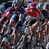 Kim Kirchen in the peloton during stage 2 of the Tour of California 2007